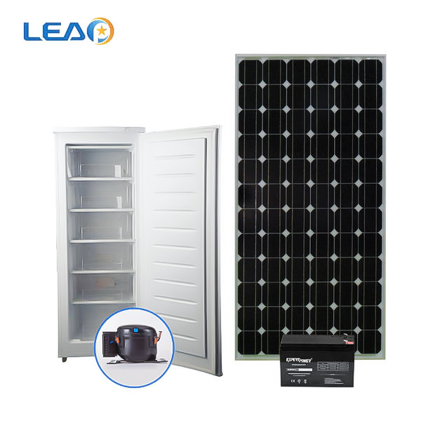 DC12/24V Solar Power Stående Frys